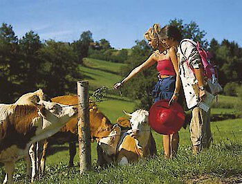 Urlaub im Mai im Bayerischen Wald